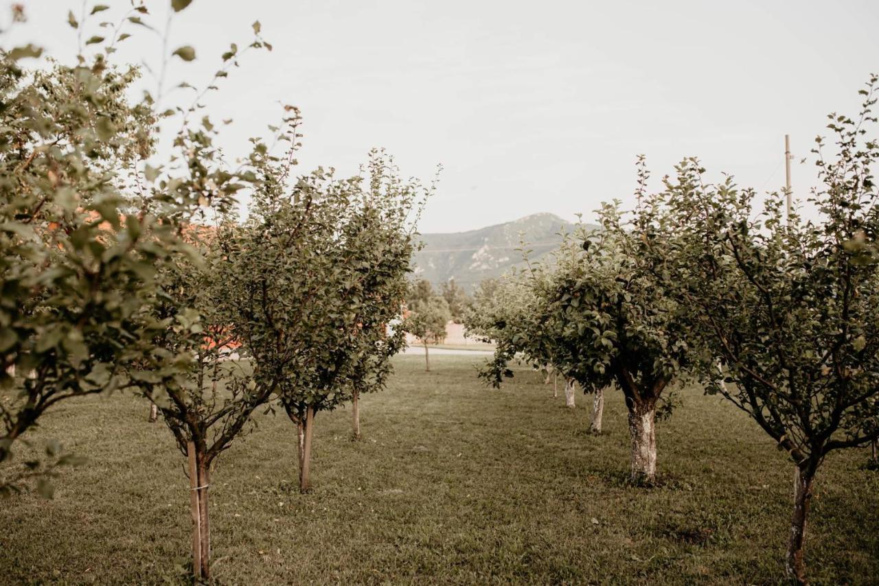 Vikendica Castanea Banja Zdrelo Villa Petrovac na Mlavi Exteriör bild